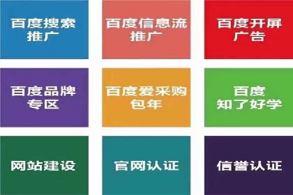 竞价广告在提升品牌知名度中的作用：XX品牌的成功故事